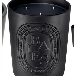 Diptyque baise candle- brand new 10.2 oz (300g)